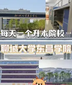 聊城大学