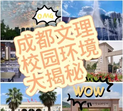 应用型
