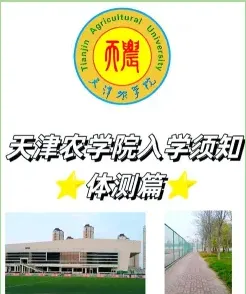 天津市