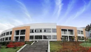 经济社会发展
