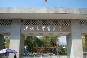 评为