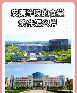 特色