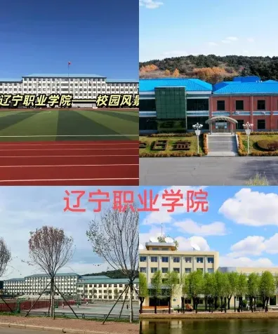 学院