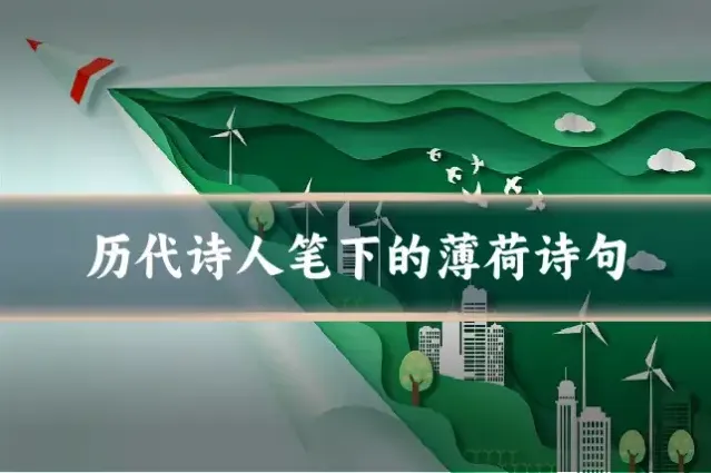历代诗人笔下的薄荷诗句