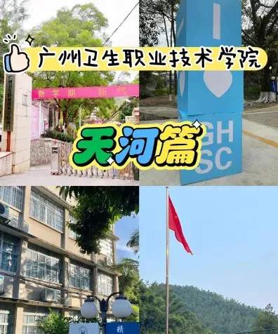 中心