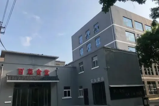 实训