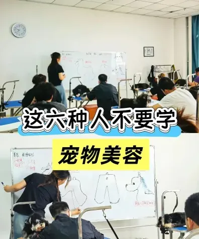 职业学院