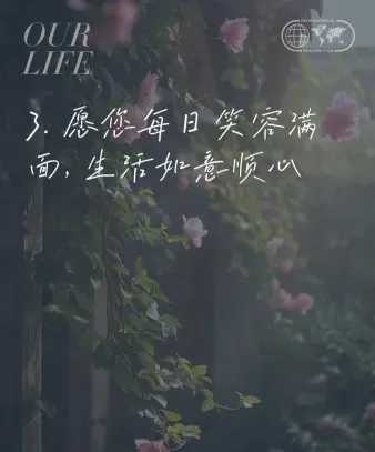 感谢您