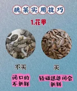 花甲