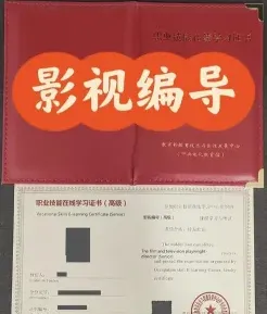 编导