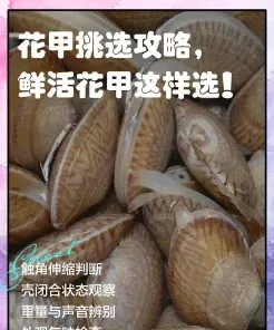 挑选