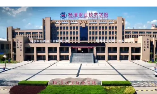 基地