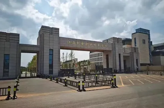 实训