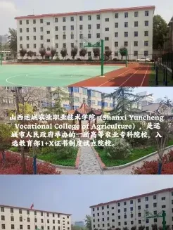 学院