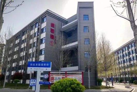 大师