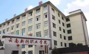 能力