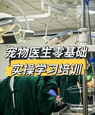 宠物医生
