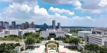 学校