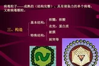 卫星病毒