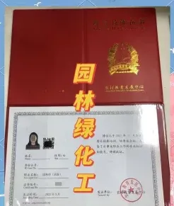 能力