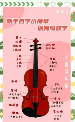 小提琴