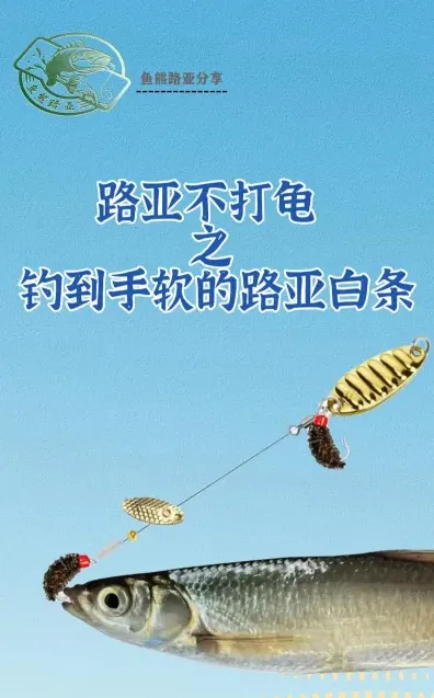 路亚