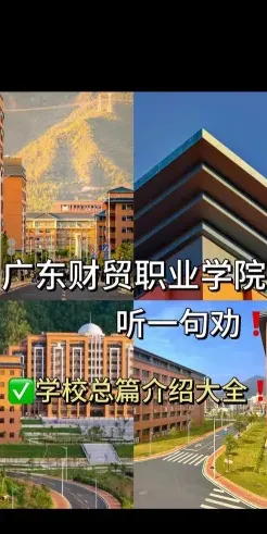 专任教师