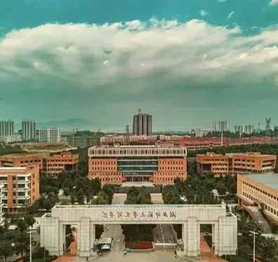 学部