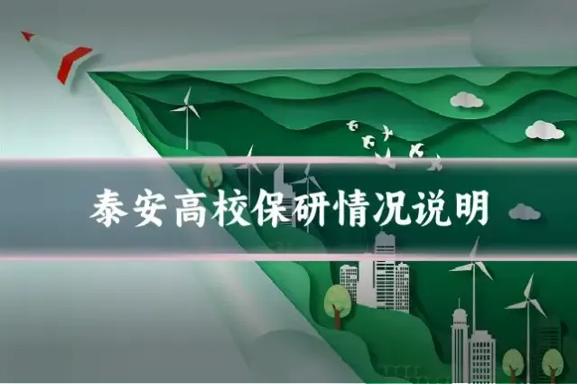 泰安高校保研情况说明