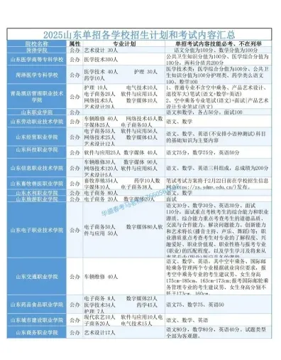 专业技能