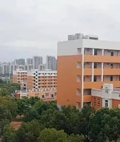 学校