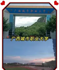 分院