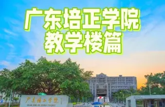 能力