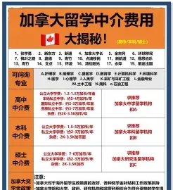 费用