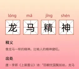 代表