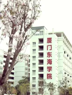 学院