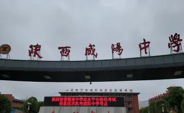 体育运动