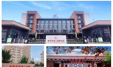 完全中学