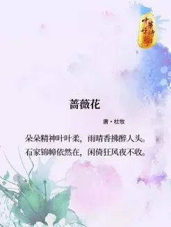 风花