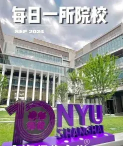 纽约大学