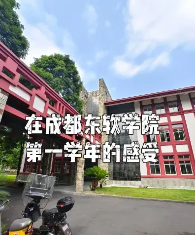 学校