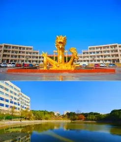 特色