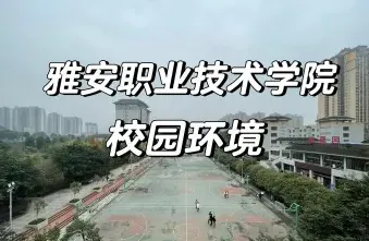 专业