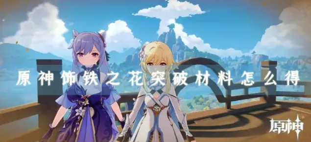 原神之花