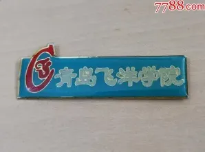 飞洋