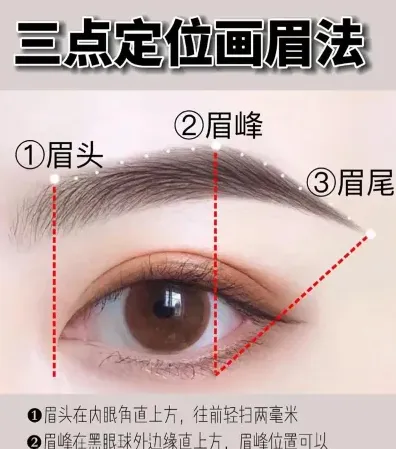眉毛
