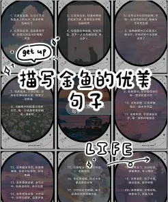 鱼食