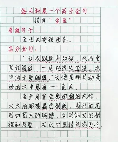 金鱼
