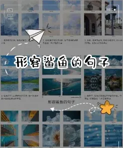 鲨鱼