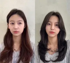 提供